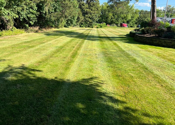 Lawn Mowing Residential