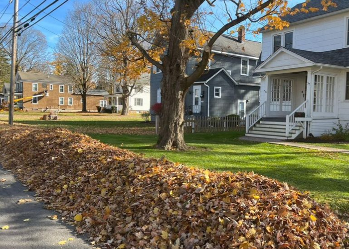 Leaf Raking and Removal