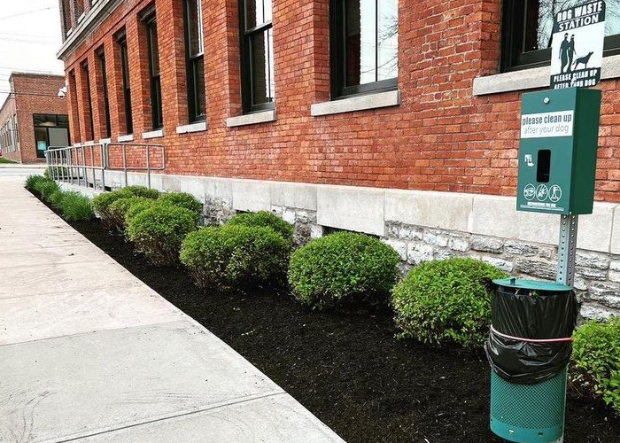 shrub care and planting