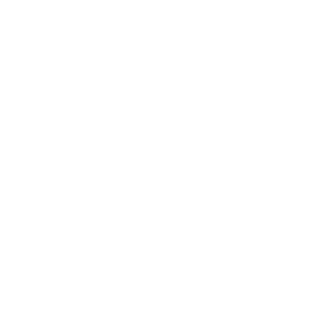 Globe Mills logo