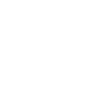 The Doyle Logo